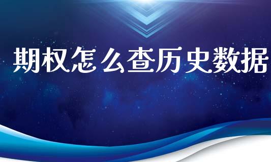 期权怎么查历史数据_https://cj004.lansai.wang_全球市场_第1张