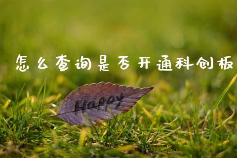 怎么查询是否开通科创板_https://cj004.lansai.wang_债券资讯_第1张