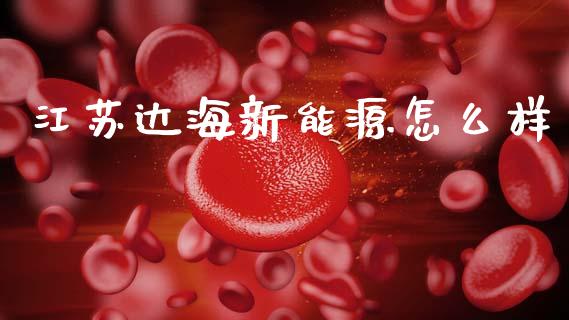 江苏达海新能源怎么样_https://cj004.lansai.wang_外汇交易_第1张