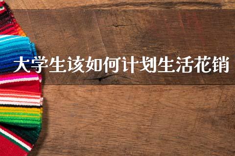 大学生该如何计划生活花销_https://cj004.lansai.wang_期货开户_第1张