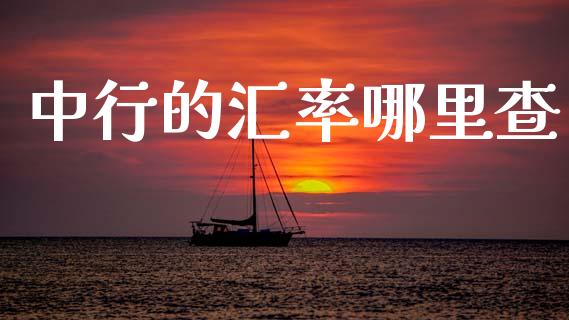 中行的汇率哪里查_https://cj004.lansai.wang_财经新闻_第1张