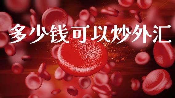 多少钱可以炒外汇_https://cj004.lansai.wang_债券资讯_第1张