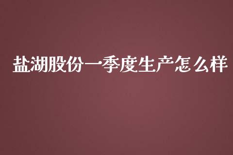 盐湖股份一季度生产怎么样_https://cj004.lansai.wang_债券资讯_第1张