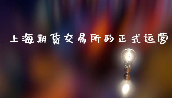 上海期货交易所的正式运营_https://cj004.lansai.wang_债券资讯_第1张