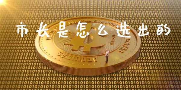 市长是怎么选出的_https://cj004.lansai.wang_财经新闻_第1张