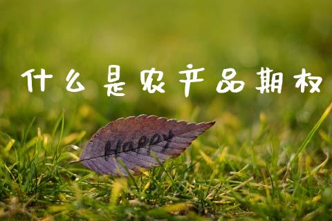 什么是农产品期权_https://cj004.lansai.wang_财经新闻_第1张