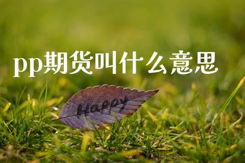 pp期货叫什么意思_https://cj004.lansai.wang_全球市场_第1张