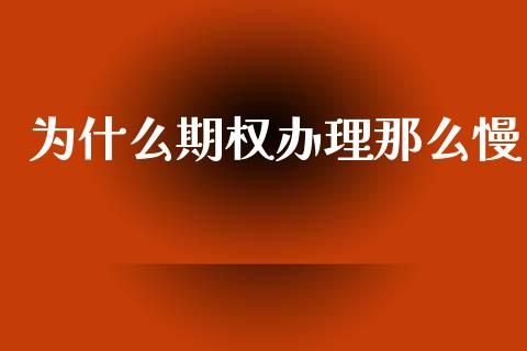 为什么期权办理那么慢_https://cj004.lansai.wang_全球市场_第1张