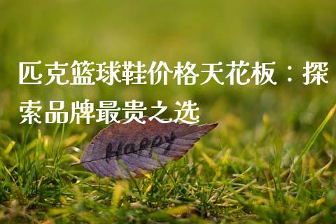 匹克篮球鞋价格天花板：探索品牌最贵之选_https://cj004.lansai.wang_期货开户_第1张