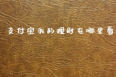 支付宝我的理财在哪里看_https://cj004.lansai.wang_财经新闻_第1张