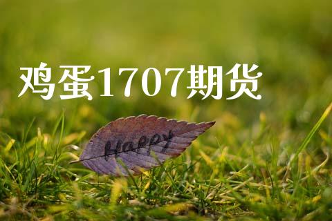 鸡蛋1707期货_https://cj004.lansai.wang_金融监管_第1张
