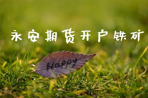 永安期货开户铁矿_https://cj004.lansai.wang_期货开户_第1张