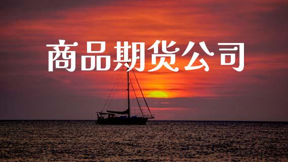 商品期货公司_https://cj004.lansai.wang_外汇交易_第1张