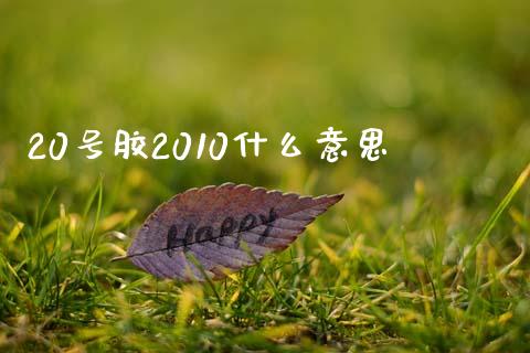 20号胶2010什么意思_https://cj004.lansai.wang_财经新闻_第1张