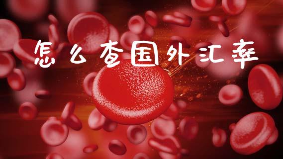 怎么查国外汇率_https://cj004.lansai.wang_期货开户_第1张