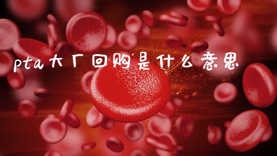 pta大厂回购是什么意思_https://cj004.lansai.wang_全球市场_第1张