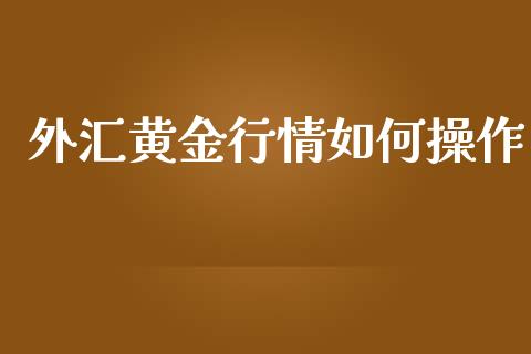 外汇黄金行情如何操作_https://cj004.lansai.wang_金融监管_第1张