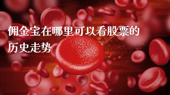 佣金宝在哪里可以看股票的历史走势_https://cj004.lansai.wang_外汇交易_第1张