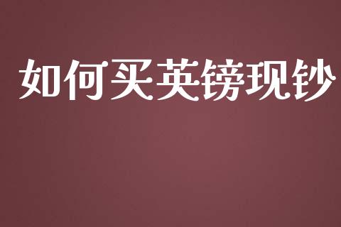 如何买英镑现钞_https://cj004.lansai.wang_全球市场_第1张