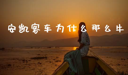 安凯客车为什么那么牛_https://cj004.lansai.wang_财经新闻_第1张
