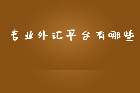 专业外汇平台有哪些_https://cj004.lansai.wang_债券资讯_第1张
