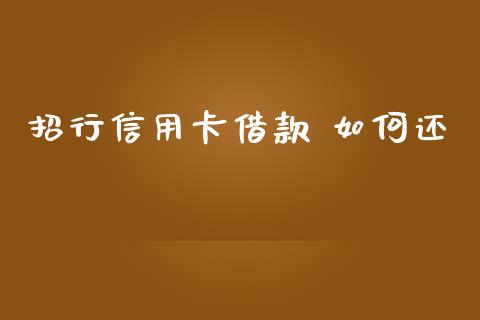 招行信用卡借款 如何还_https://cj004.lansai.wang_外汇交易_第1张