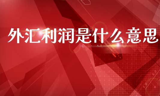 外汇利润是什么意思_https://cj004.lansai.wang_债券资讯_第1张