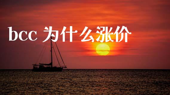 bcc 为什么涨价_https://cj004.lansai.wang_期货开户_第1张