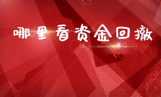 哪里看资金回撤_https://cj004.lansai.wang_外汇交易_第1张