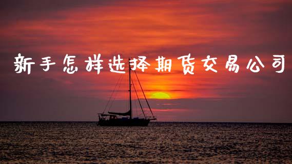 新手怎样选择期货交易公司_https://cj004.lansai.wang_财经新闻_第1张