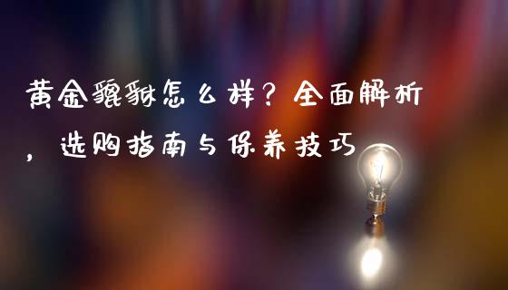 黄金貔貅怎么样？全面解析，选购指南与保养技巧_https://cj004.lansai.wang_金融监管_第1张