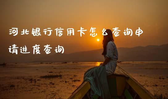 河北银行信用卡怎么查询申请进度查询_https://cj004.lansai.wang_财经新闻_第1张
