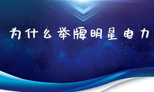为什么举牌明星电力_https://cj004.lansai.wang_财经新闻_第1张