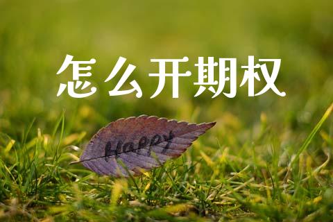 怎么开期权_https://cj004.lansai.wang_外汇交易_第1张
