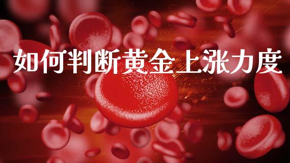 如何判断黄金上涨力度_https://cj004.lansai.wang_期货开户_第1张