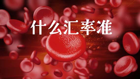 什么汇率准_https://cj004.lansai.wang_财经新闻_第1张