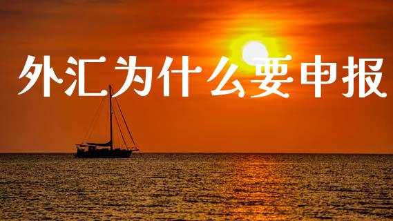 外汇为什么要申报_https://cj004.lansai.wang_期货开户_第1张