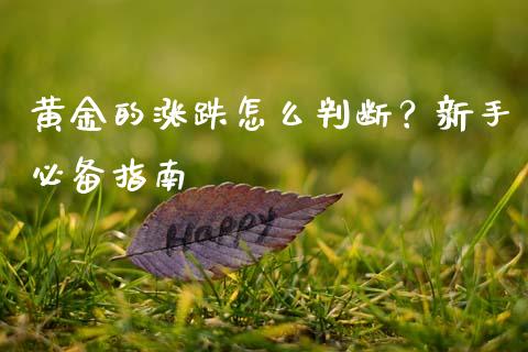 黄金的涨跌怎么判断？新手必备指南_https://cj004.lansai.wang_期货开户_第1张