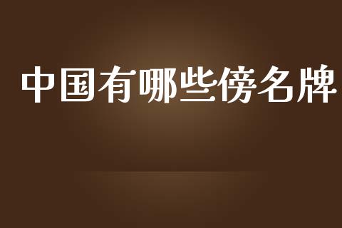 中国有哪些傍名牌_外汇交易_第1张_期货开户_金融监管_外汇交易_债券资讯_全球市场_财经新闻 中国有哪些傍名牌_https://cj004.lansai.wang_外汇交易_第1张