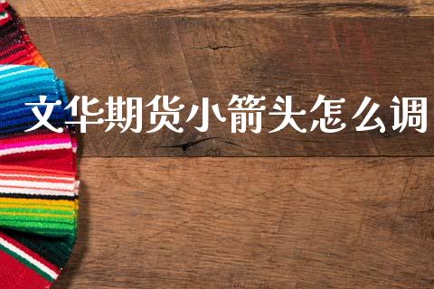 文华期货小箭头怎么调_https://cj004.lansai.wang_金融监管_第1张