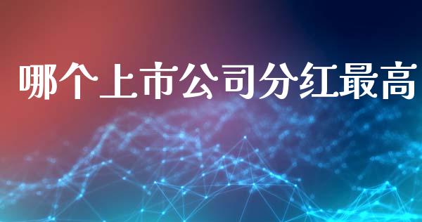 哪个上市公司分红最高_https://cj004.lansai.wang_期货开户_第1张