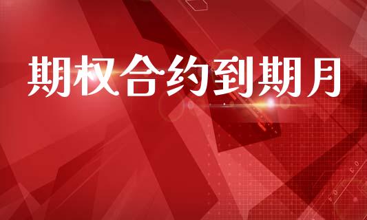期权合约到期月_https://cj004.lansai.wang_债券资讯_第1张