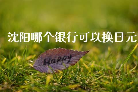 沈阳哪个银行可以换日元_https://cj004.lansai.wang_财经新闻_第1张