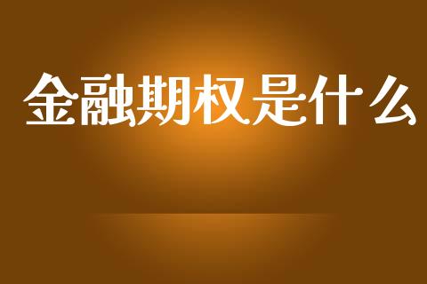 金融期权是什么_https://cj004.lansai.wang_期货开户_第1张