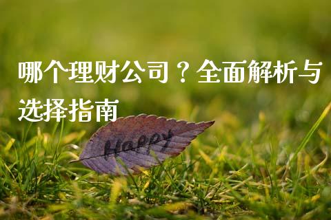 哪个理财公司？全面解析与选择指南_https://cj004.lansai.wang_债券资讯_第1张