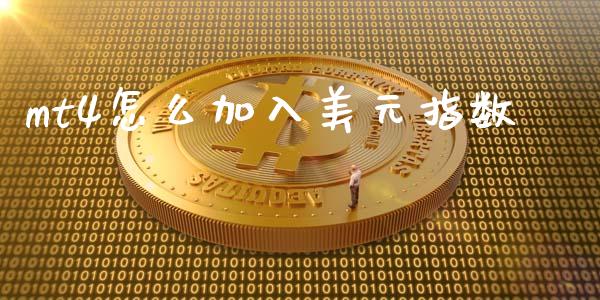 mt4怎么加入美元指数_https://cj004.lansai.wang_全球市场_第1张