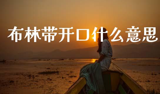 布林带开口什么意思_https://cj004.lansai.wang_外汇交易_第1张