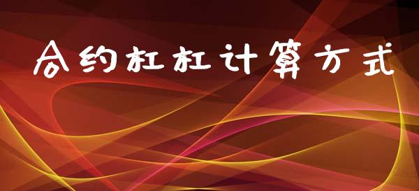 合约杠杠计算方式_https://cj004.lansai.wang_金融监管_第1张