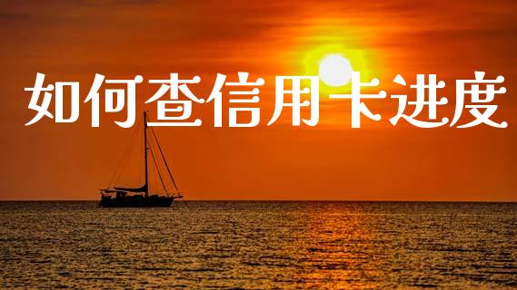 如何查信用卡进度_https://cj004.lansai.wang_外汇交易_第1张