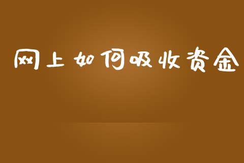 网上如何吸收资金_https://cj004.lansai.wang_期货开户_第1张